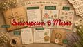 Suscripcion (6 Meses) Ahorra un 10%